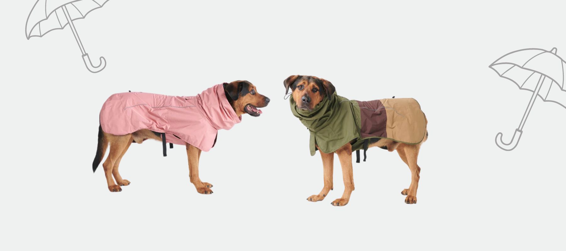 The Ultimate Guide to Dog Raincoats SPARK PAWS