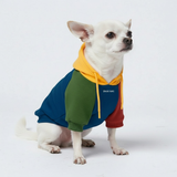 Primary Color Hoodie||size:S