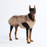 Chaqueta de invierno tipo slip-on - Oro Metálico