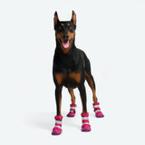 Botas de agua para perro, Zapatos impermeables para perro - Camuflaje Fucsia