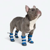 Botas de agua para perro, Zapatos impermeables para perro - Camuflaje Azul