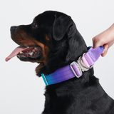 Collar táctico para perros - 90s Retro
