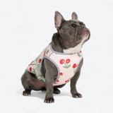 Chaleco refrigerante para perros - Cerezas