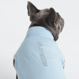 Blue Shirt