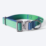 Collar táctico para perros - Lime Wave