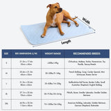 Hearts Blue||size:S,M,L,XL,2XL