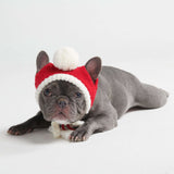 Gorro Beanie Knit Pom Pom Dog - Multicolor