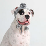 Gorro Beanie Knit Pom Pom Dog - Multicolor