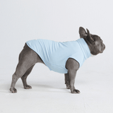 Blue Shirt