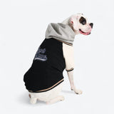 Chaqueta universitaria para perros - Negra