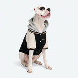 Chaqueta universitaria para perros - Negra