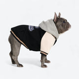 Chaqueta universitaria para perros - Negra