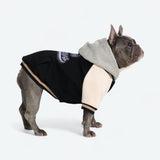 Chaqueta universitaria para perros - Negra