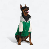 Chaqueta universitaria para perros - Verde