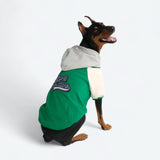 Chaqueta universitaria para perros - Verde