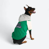 Green Varsity Jacket