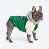 Chaqueta universitaria para perros - Verde