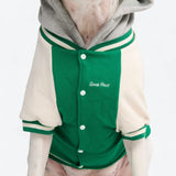 Chaqueta universitaria para perros - Verde