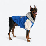 Chaqueta universitaria para perros - Azul