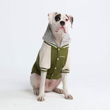 Chaqueta universitaria para perros - Verde