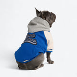 Chaqueta universitaria para perros - Azul
