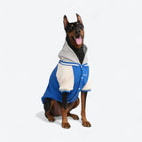 Chaqueta universitaria para perros - Azul