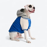 Chaqueta universitaria para perros - Azul
