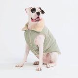 Chaqueta de Corderoy con Sherpa - Menta