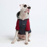 Chaqueta universitaria para perros - Gris rojo