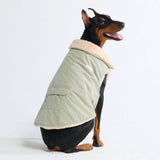 Chaqueta de Corderoy con Sherpa - Menta