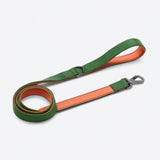 Green Orange Neoprene Leash