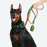 Set de collar de control cómodo - Verde Naranja
