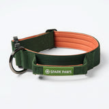 Set de collar de control cómodo - Verde Naranja
