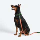 Set de collar de control cómodo - Verde Naranja