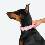 Collar de control cómodo - Rosa