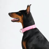 Collar de control cómodo - Rosa