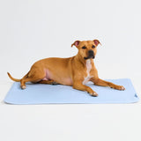 Waffle Blue||size:L,XL,2XL