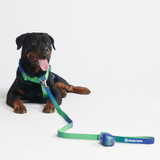 Juego de arneses para perros Comfort Control No-Pull - Lime Wave
