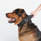 Juego de collar táctico para perros - Negro
