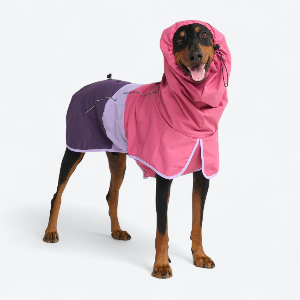 Breatheshield™ hondenregenjassen – SPARK PAWS