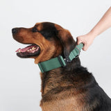 Collar táctico para perros - Verde militar
