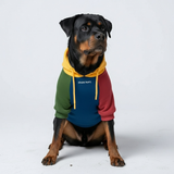 Primary Color Hoodie||size:4XL,5XL