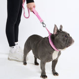 Pink Martingale Collar||size:A,B