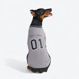 Camiseta de fútbol de malla - Gris