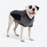 Camiseta de fútbol de malla - Gris