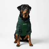 Forest Camo Hoodie||size:4XL,5XL