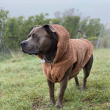 Chaqueta Teddy Sherpa - Marrón