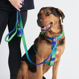 Juego de arneses para perros Comfort Control No-Pull - Lime Wave