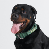 Collar táctico para perros - Verde militar