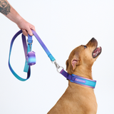 90s Retro Collar||size:C,D,E
